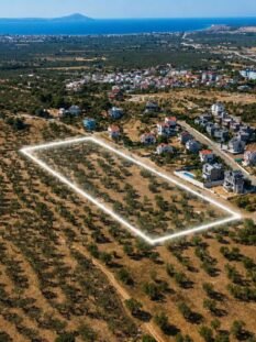arsa-ezine-geyikli-01